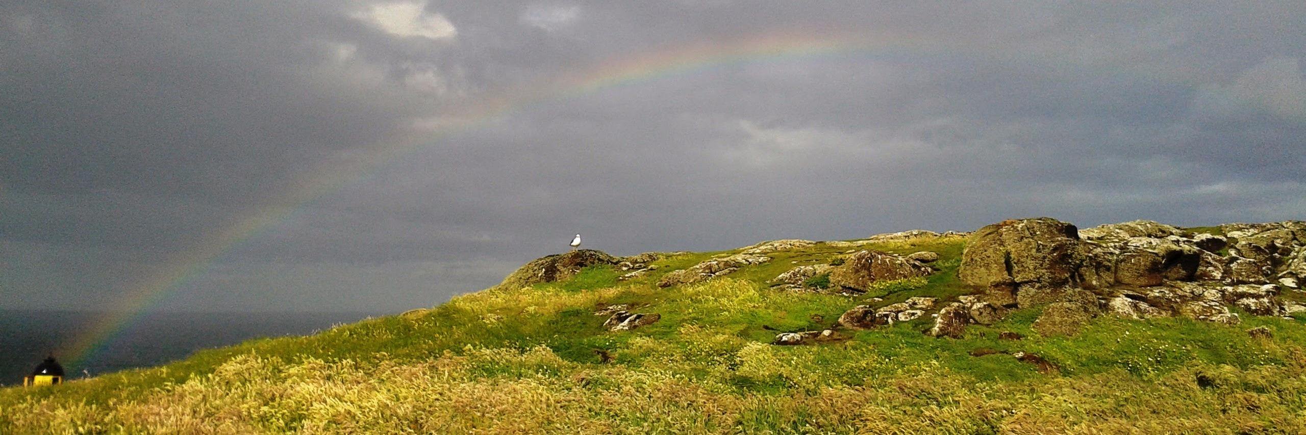 Jonathan Fenn banner