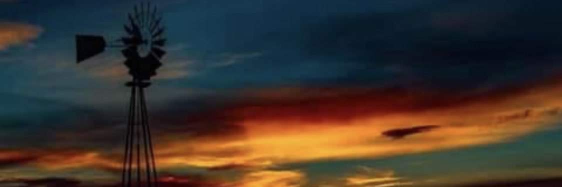 Suzam's profile banner image
