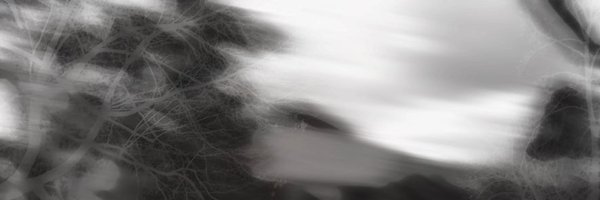 TSwanyIRL Profile Banner