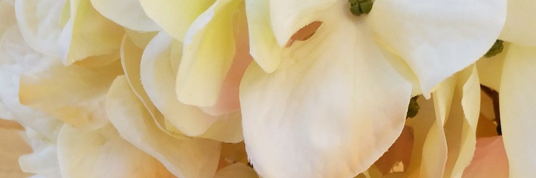 faeid_'s profile banner image