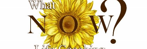 whatnowcoach's profile banner image
