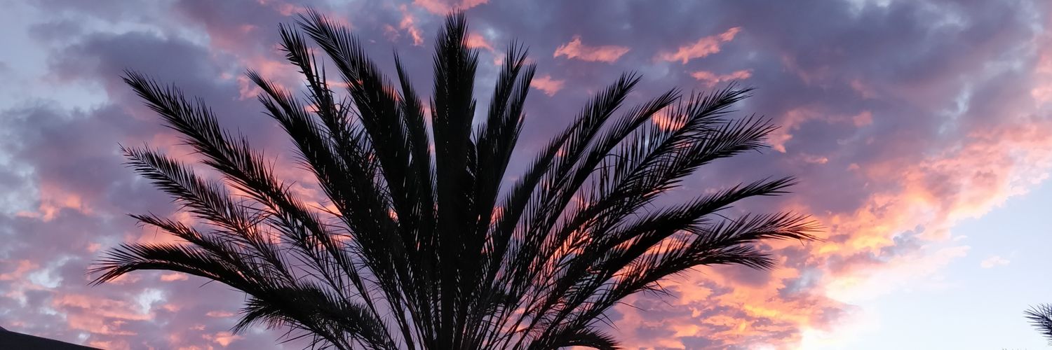 YunsiD's profile banner image