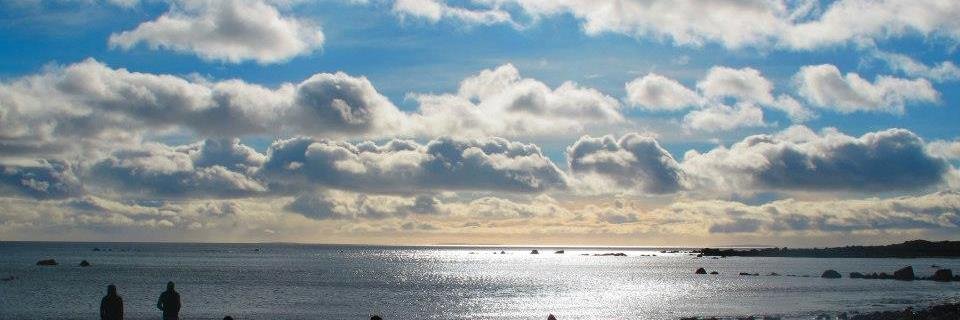 Annie Kingston banner