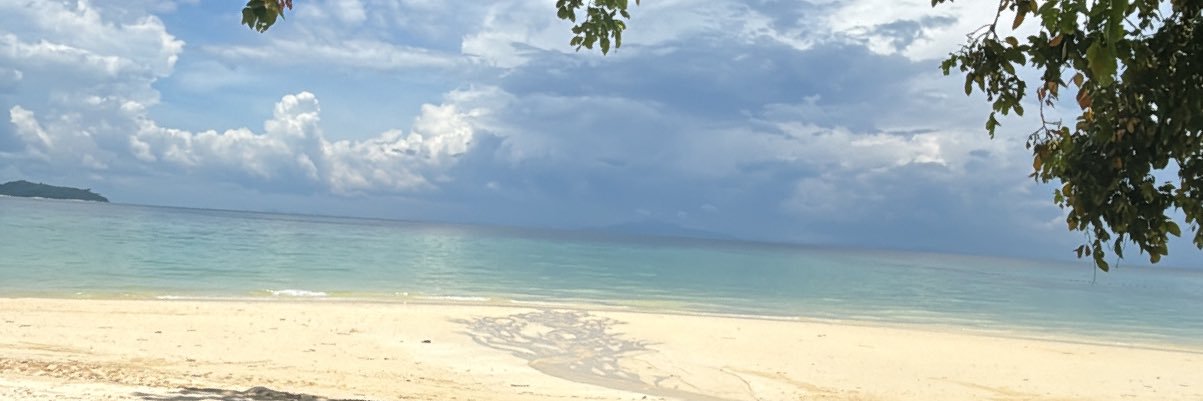 HarryBowditch's profile banner image
