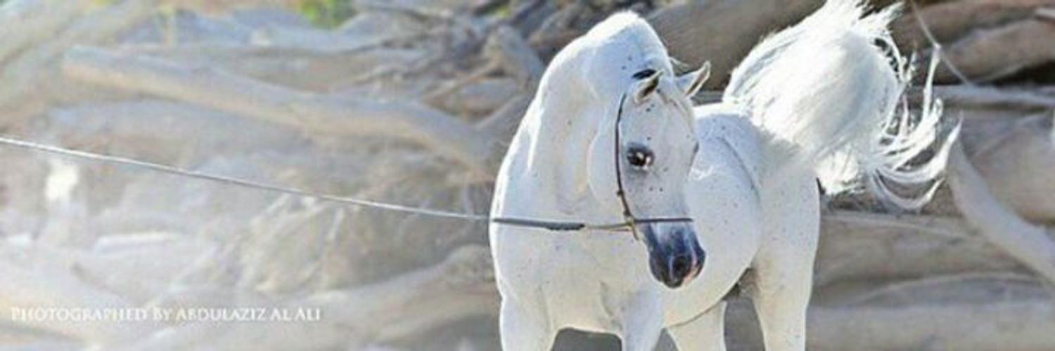 kiomoO111's profile banner image