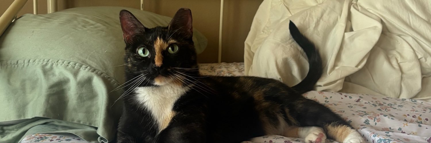 needybeezz's profile banner image