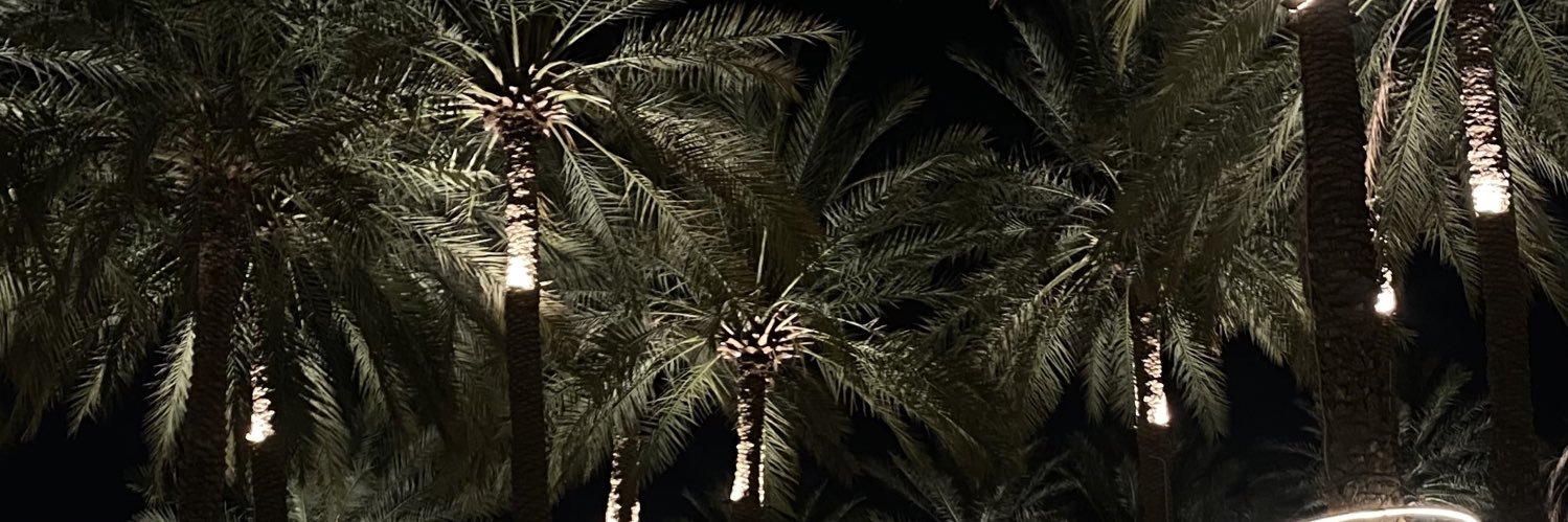 roylv7's profile banner image
