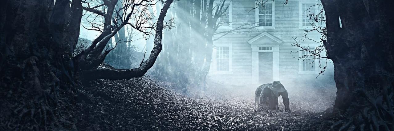 Fernando R. L. banner