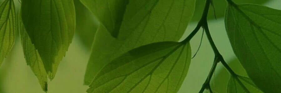 munevverim's profile banner image