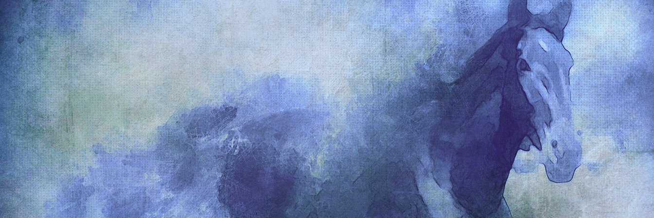 SHKL banner