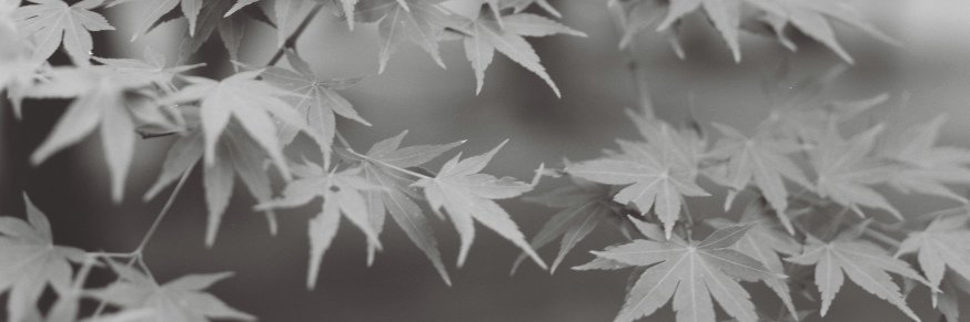 0x1_Sound's profile banner image