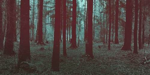 WendyRPGIDT's profile banner image