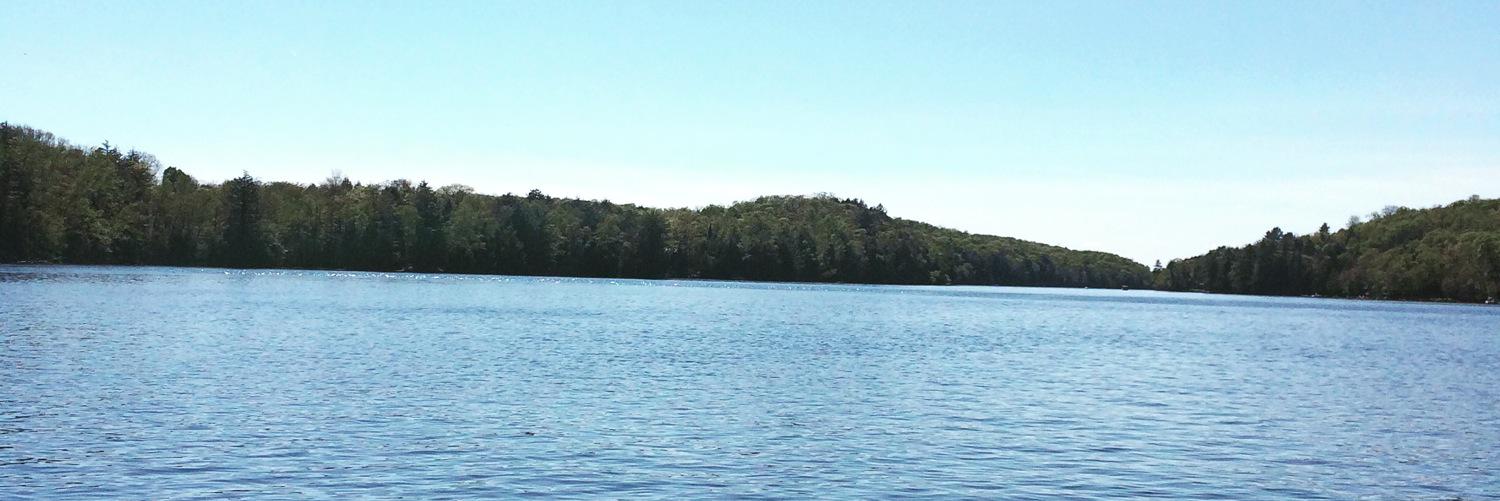 VLMooney's profile banner image