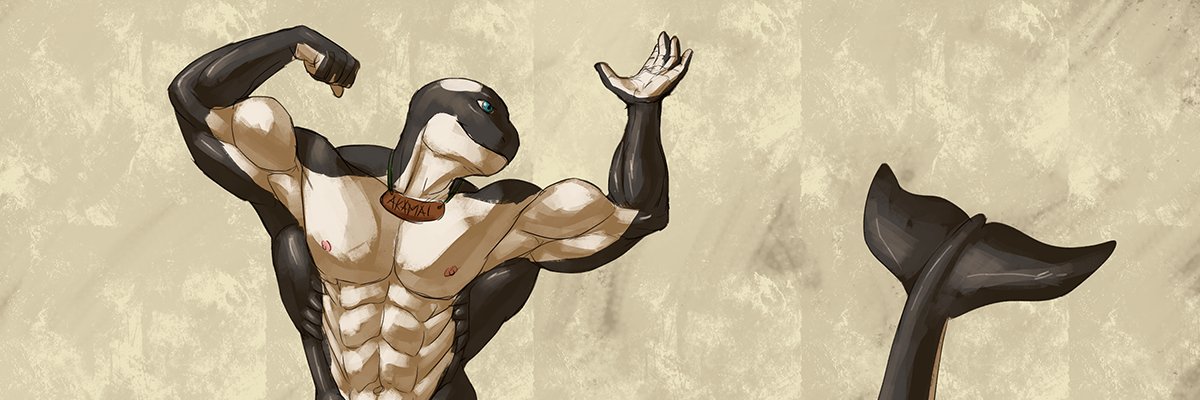 Akamai Orca banner