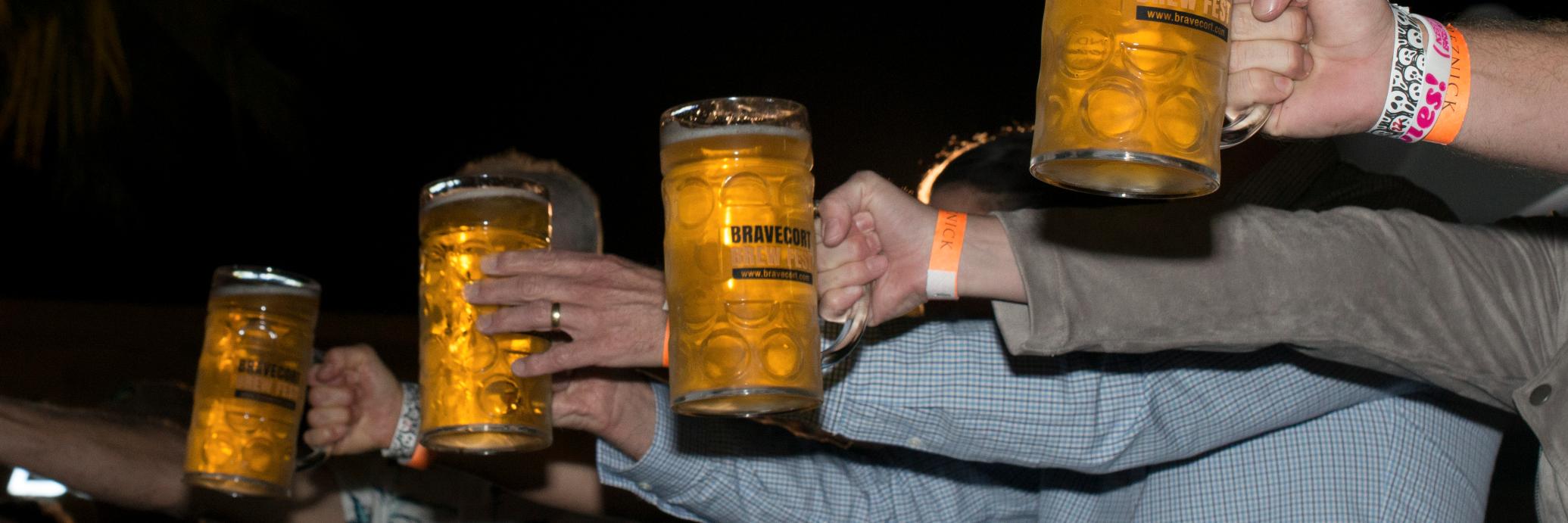 BraveCort Foundation banner