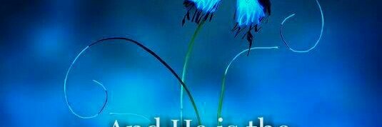 Shifa Mustapha banner