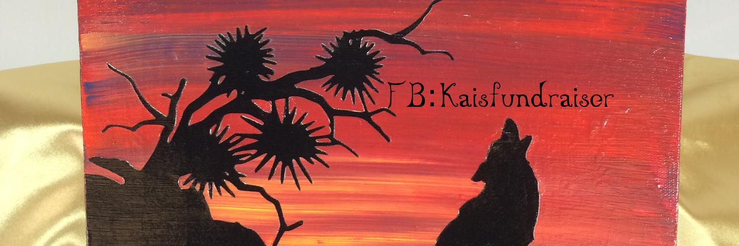 Kaisfund's profile banner image