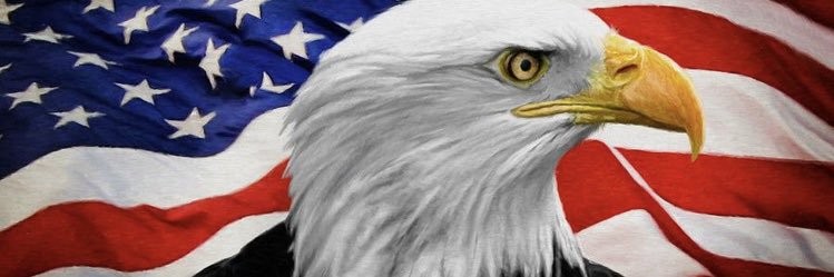 discodano1's profile banner image