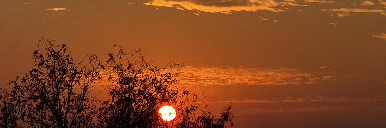 lopeza____'s profile banner image