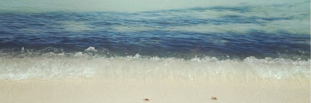 Live_InSerenity's profile banner image