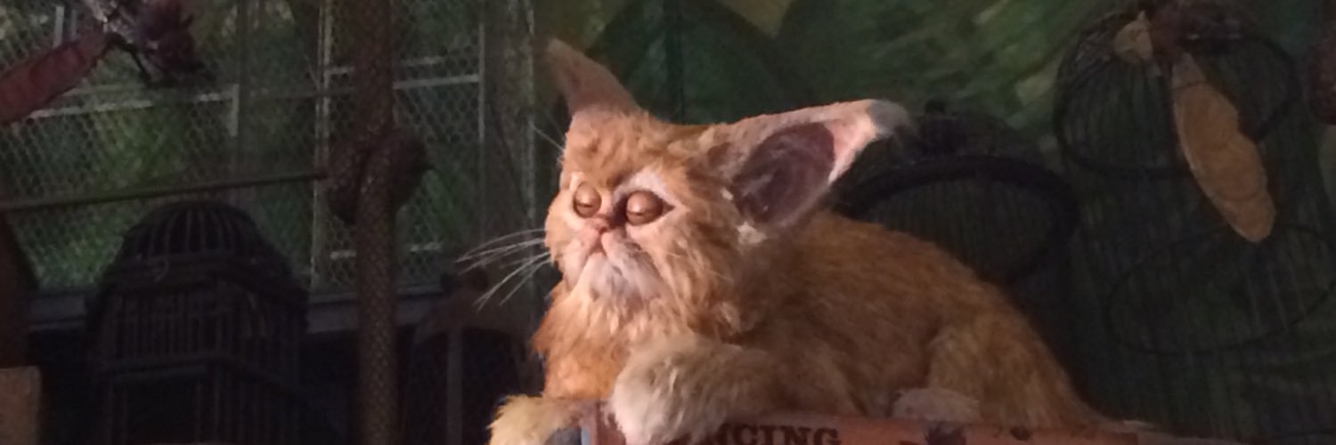Nadderstrike's profile banner image