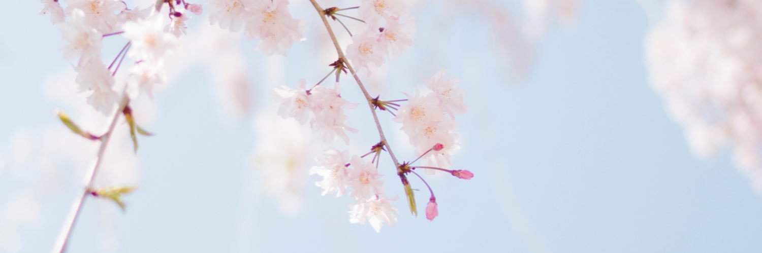 WoPosth's profile banner image