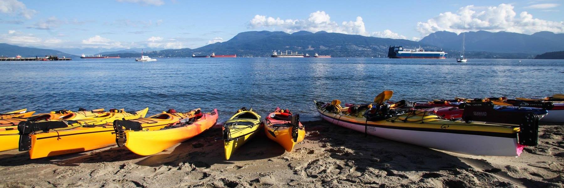 EcomarinePaddle's profile banner image