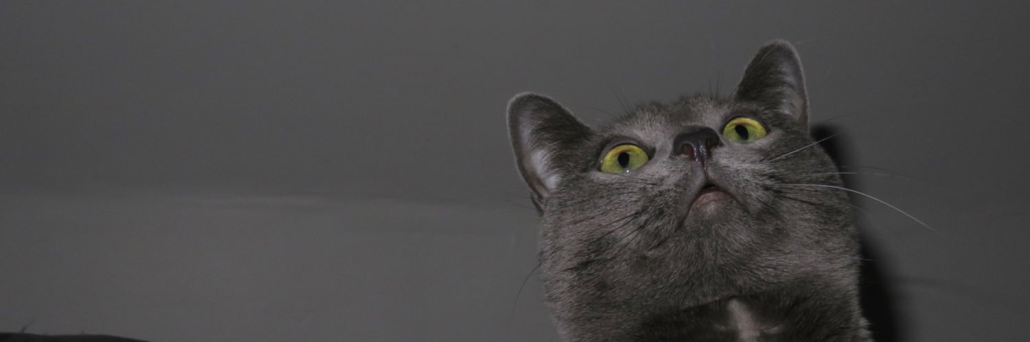 zaonen's profile banner image