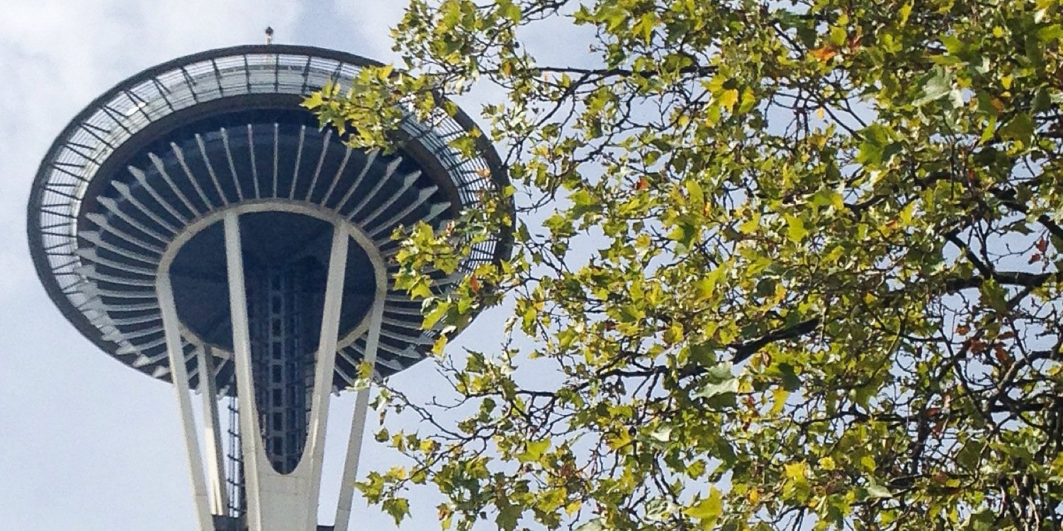 BeezNeezSeattle's profile banner image