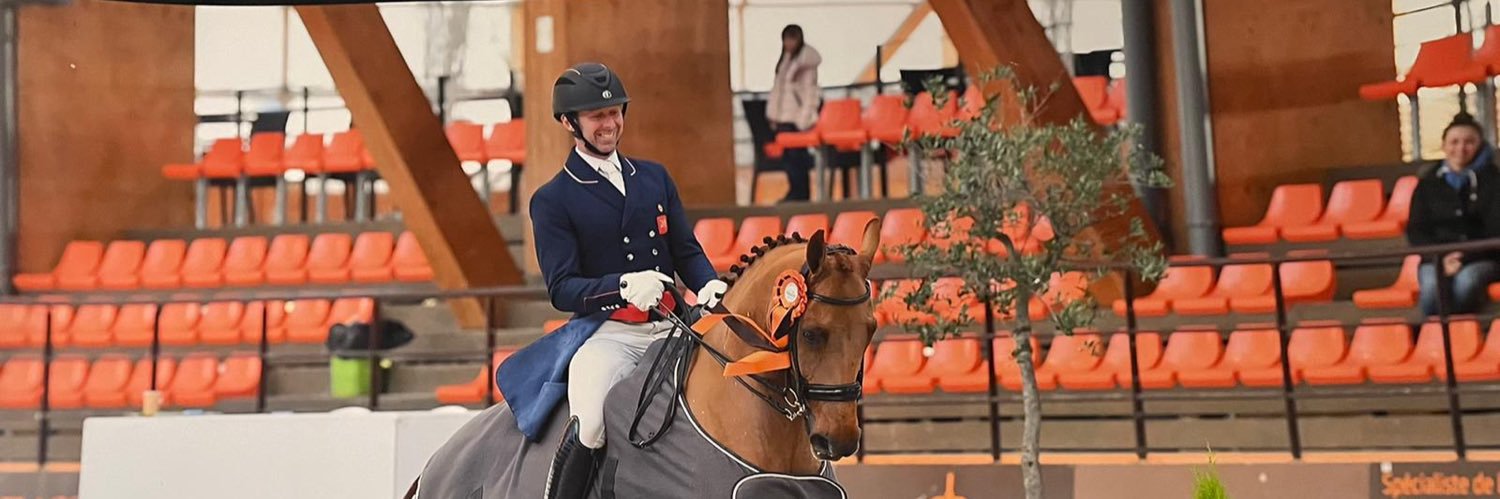 WatsonDressage's profile banner image