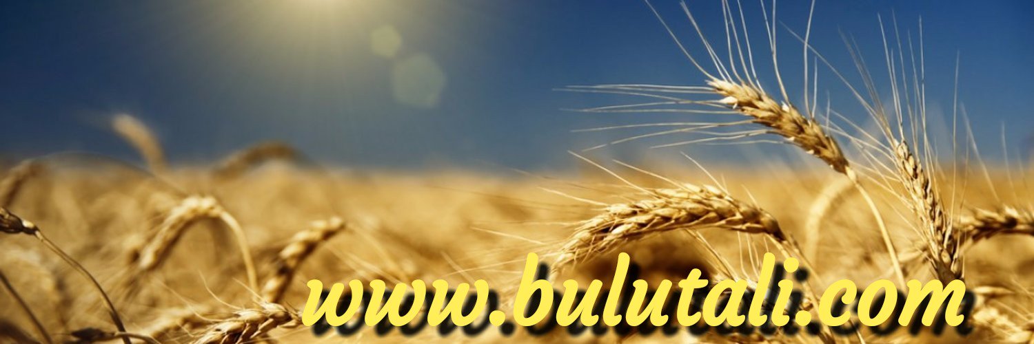 AlBlt's profile banner image