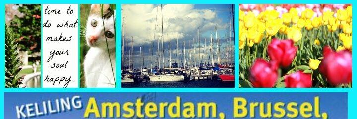 RealSariMusdar's profile banner image