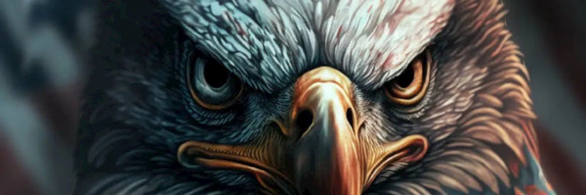 havoc734's profile banner image
