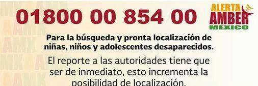 Elizabeth Martinez banner