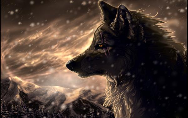 xBloodMoon's profile banner image