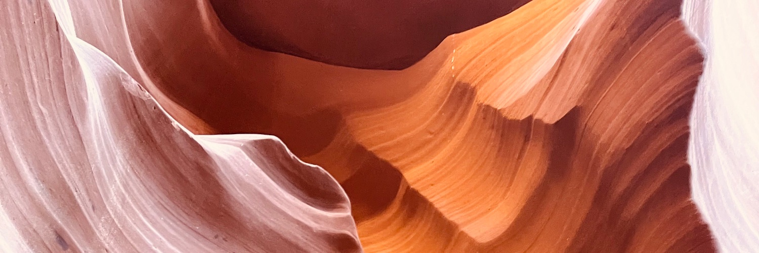OnlytheRCR's profile banner image
