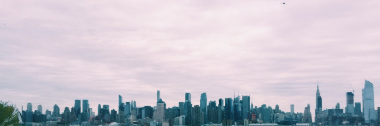 annafugh's profile banner image