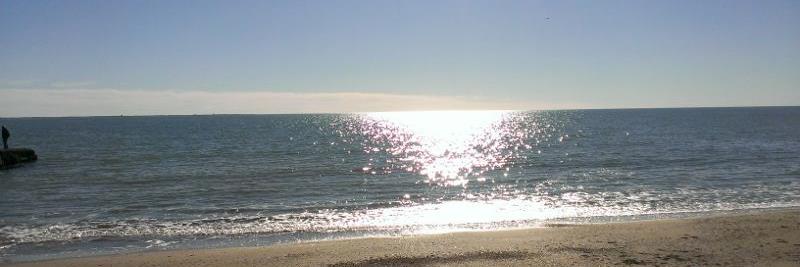 𝕄𝕒𝕣𝕔 𝕊𝕒𝕟𝕘𝕝𝕒𝕤 banner