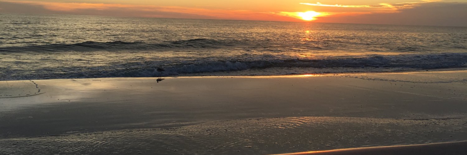Kim_C66's profile banner image