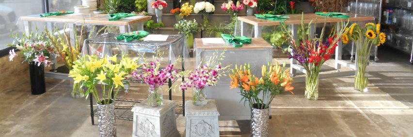 florist_stems's profile banner image