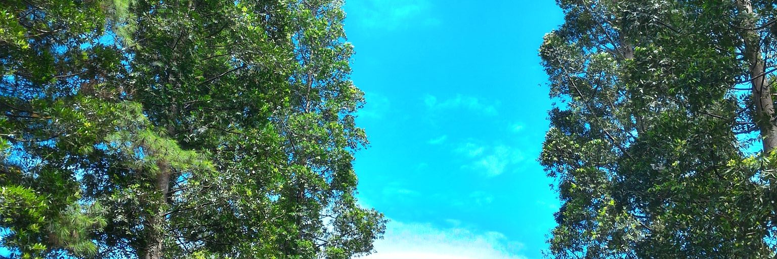 anton_prafanto's profile banner image