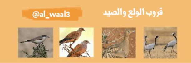 Al_waal3's profile banner image