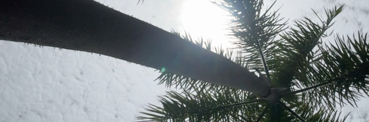 elyouzee's profile banner image