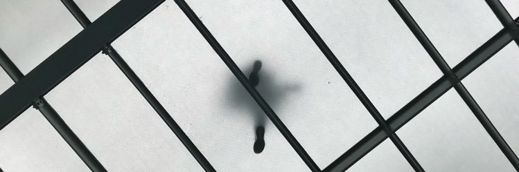 rubenginorio's profile banner image
