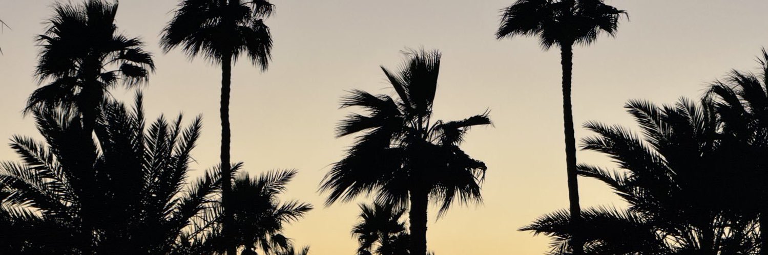 Rorry_ii's profile banner image