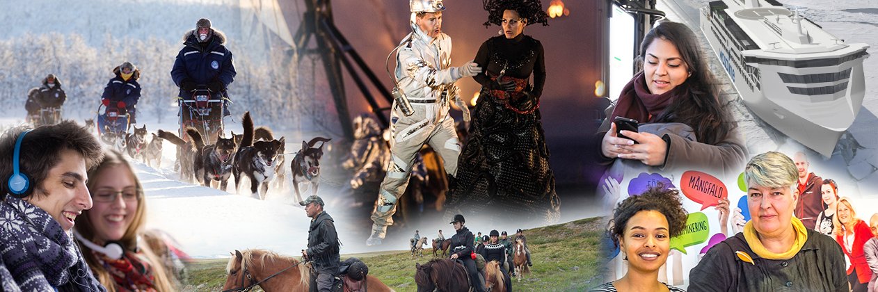 Region Västerbotten banner