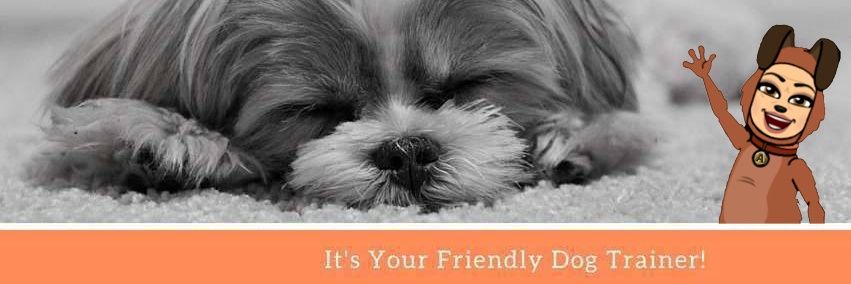 dogtrainerhk's profile banner image