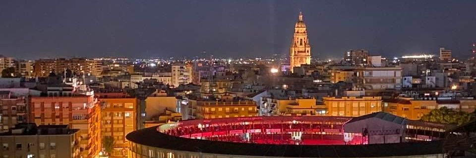 MARIA PIEDAD PIÑERA SALMERÓN banner