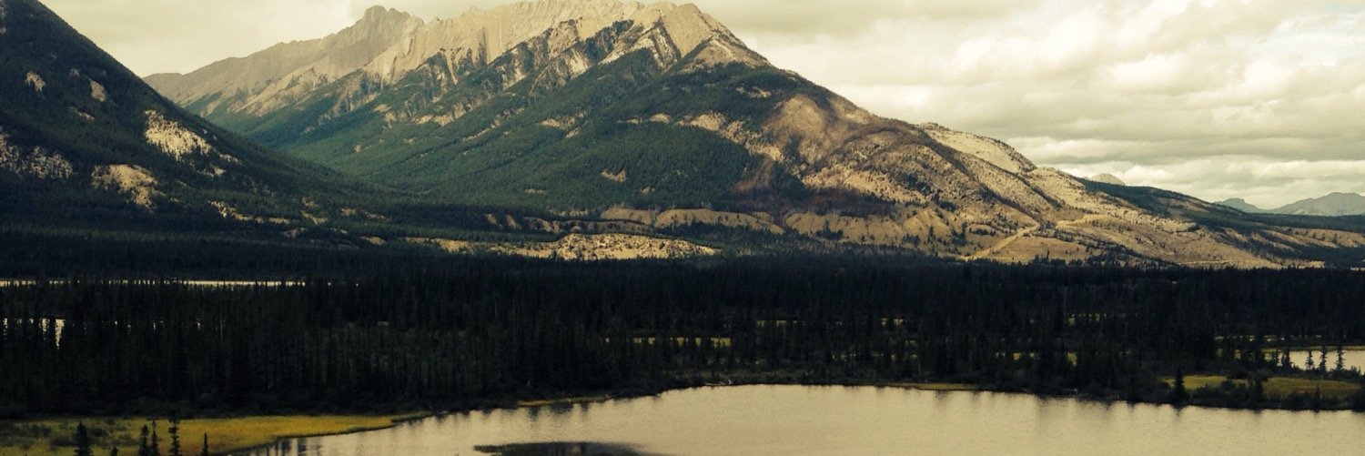 Dayne Hogstead banner