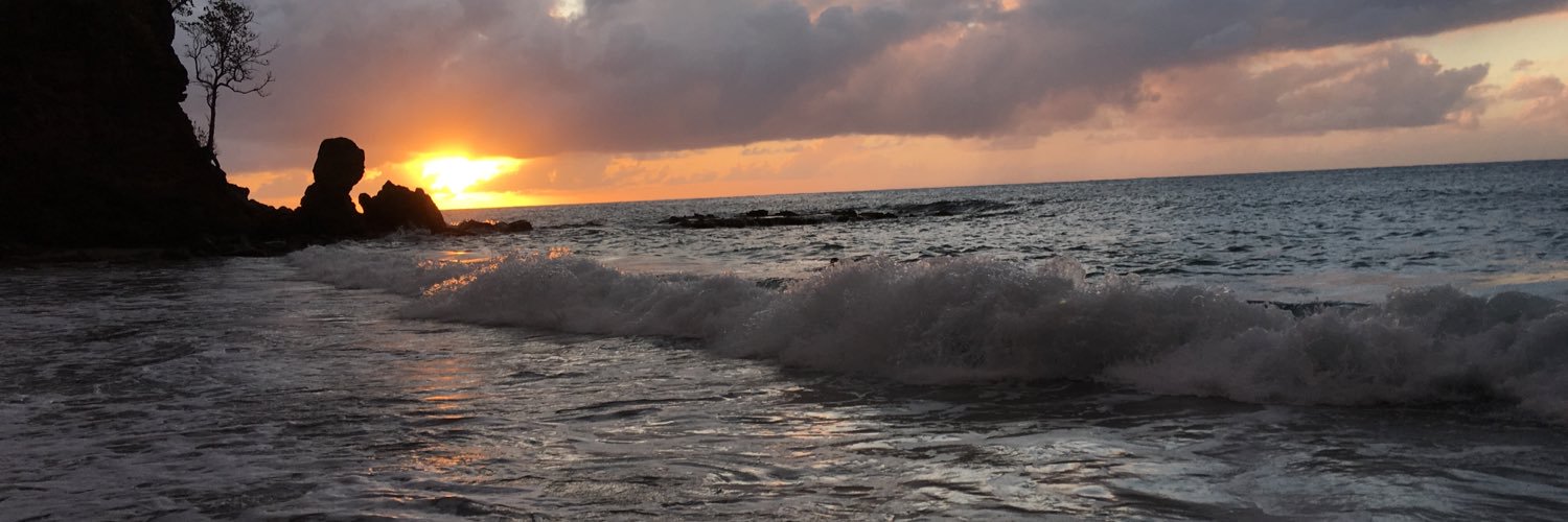 LaurelGalt's profile banner image
